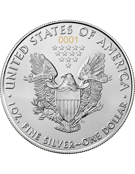 SILVER EAGLE - The New Heritage 2 x 1 Oz Silver Coins 2 x 1$ Dollar USA 2021 - Coins & More - Usa