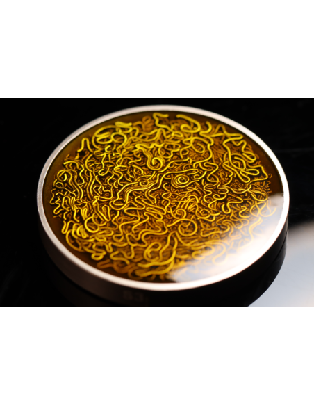 INSTANT NOODLE 2 Oz Antique Silver Coin 2000 Francs Cameroon 2025 - Coins & More - Cameroon