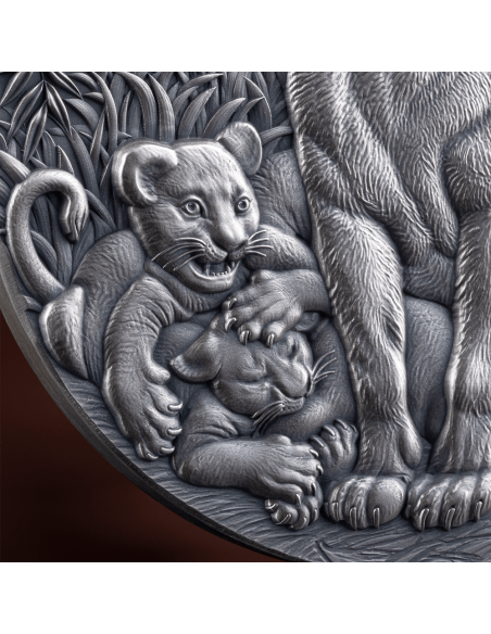 THE GRACE OF LIONESS Circle of Life 2 Oz Silver Coin 2000 Francs Cameroon 2024 - Coins & More - Camerun