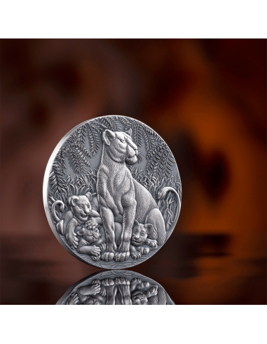 THE GRACE OF LIONESS Circle of Life 2 Oz Silver Coin 2000 Francs Cameroon 2024 - Coins & More - Camerun