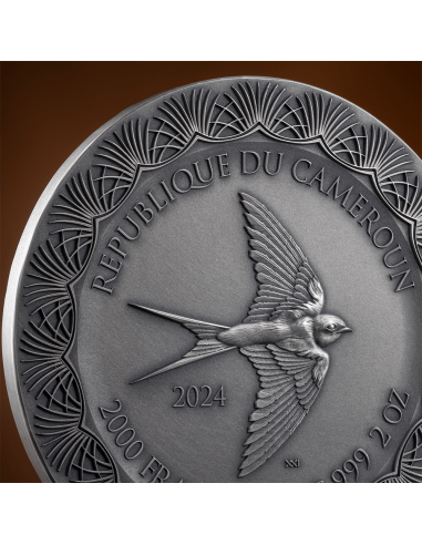 EROS AND PSYCHE Celestial Beauty 2 Oz Silver Coin 2000 Francs Cameroon 2024 - Coins & More - Camerun