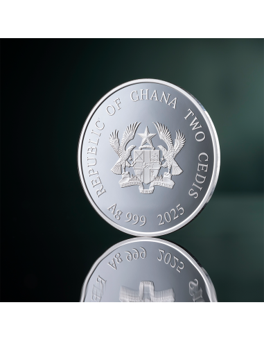 YEAR OF THE SNAKE Lunar Year 1/2 Oz Silver Proof Coin 2 Cedis Ghana 2025 - Coins & More - Africa