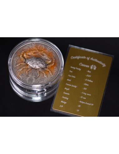 CANCER Twelve Zodiac Signs 5 Oz UV and Glow in Dark Silver Coin 12$ Dollars Niue 2024 - Coins & More - Chad