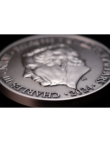 CANCER Twelve Zodiac Signs 5 Oz UV and Glow in Dark Silver Coin 12$ Dollars Niue 2024 - Coins & More - Chad