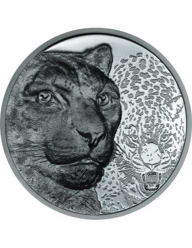 SNOW LEOPARD Wild Mongolia 2 Oz Silver Black Proof Coin 2000 Togrog Mongolia 2024 - Coins & More - Mongolia