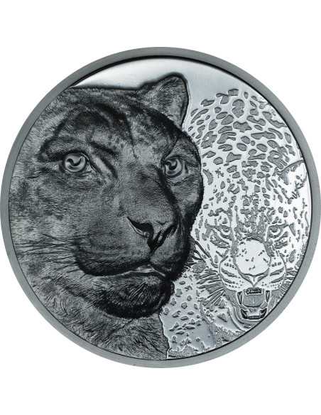 SNOW LEOPARD Wild Mongolia 2 Oz Silver Black Proof Coin 2000 Togrog Mongolia 2024 - Coins & More - Mongolia