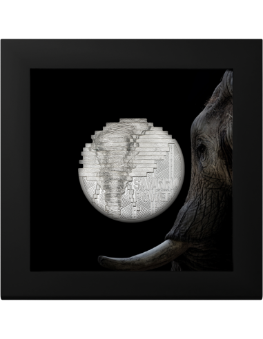 ELEPHANT Reconstruction 2 Oz Silver Coin 10$ Palau 2024 - Coins & More - Palau