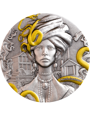 MARIE LAVEAUX Queen of Voodoo 2 Oz Antique Silver UV Coin 2000 Francs Cameroon 2025 - Coins & More - Camerún