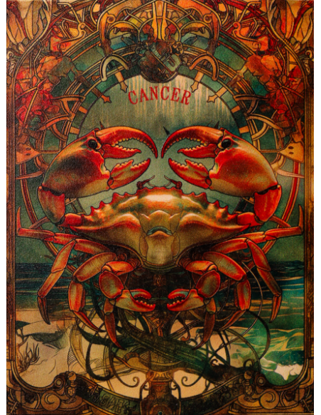 FULL SET 12 Zodiac Series 12x Silver Coin 500 Francs CFA Cameroon 2025 - Coins & More - Cameroon