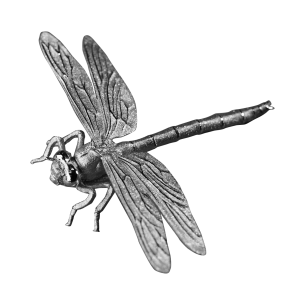 DRAGONFLY 3D Silver Coin 500 Francs Cameroon 2025 - Coins & More - Cameroon