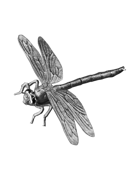 DRAGONFLY 3D Silbermünze 500 Francs Kamerun 2025 - Coins & More - Kamerun