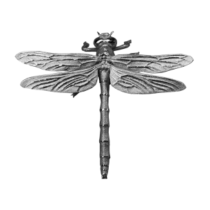 DRAGONFLY 3D Moneda de Plata 500 Francos Camerún 2025 - Coins & More - Camerún 2