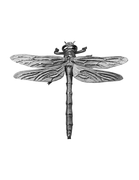 Moneta d'argento DRAGONFLY 3D da 500 franchi Camerun 2025 - Coins & More - Camerun
