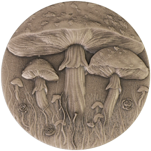 MAGIC MUSHROOM Pièce de monnaie en argent de 2 oz 2000 Francs Cameroun 2025 - Coins & More - Cameroun 2