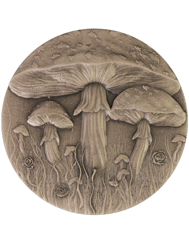 MAGIC MUSHROOM 2 Oz Silver Coin 2000 Francs Cameroon 2025 - Coins & More - Cameroon