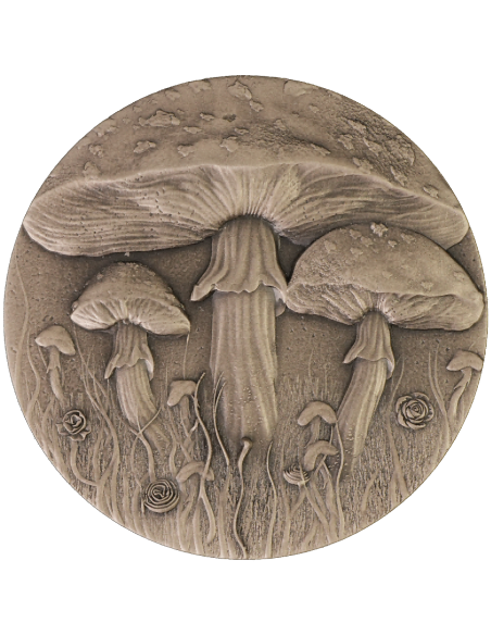 MAGIC MUSHROOM 2 Oz Silver Coin 2000 Francs Cameroon 2025 - Coins & More - Cameroon