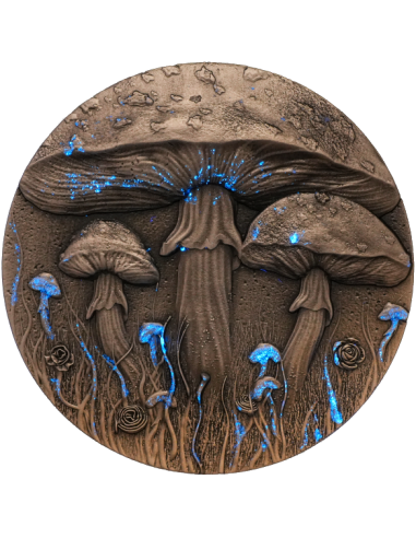MAGIC MUSHROOM 2 Oz Silver Coin 2000 Francs Cameroon 2025 - Coins & More - Cameroon