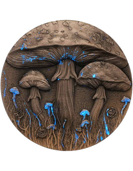 MAGIC MUSHROOM 2 Oz Silver Coin 2000 Francs Cameroon 2025 - Coins & More - Cameroon