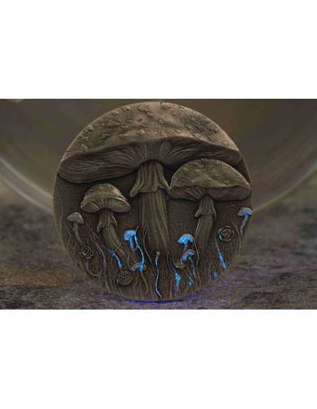 MAGIC MUSHROOM 2 Oz Silver Coin 2000 Francs Cameroon 2025 - Coins & More - Cameroon