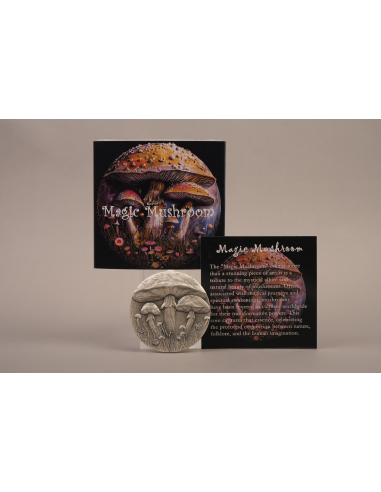 MAGIC MUSHROOM 2 Oz Silver Coin 2000 Francs Cameroon 2025 - Coins & More - Cameroon