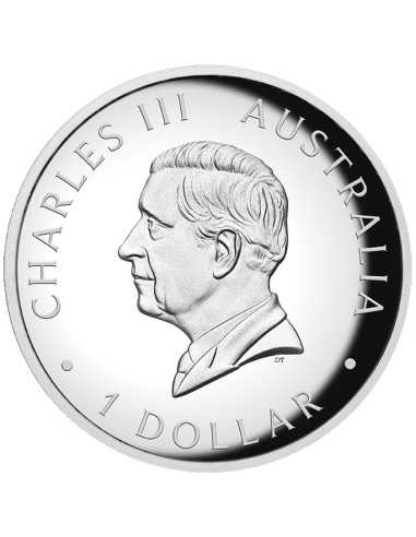 AUSTRALIAN KANGAROO 1 Oz Silver Coin 1$ Australia 2024 - Coins & More - Australie