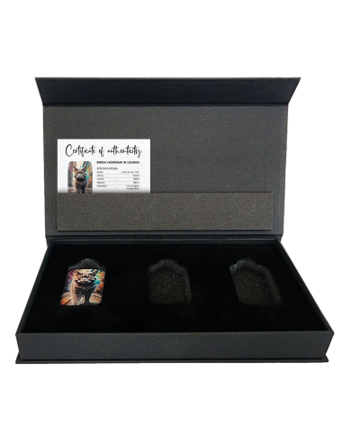BRITISH SHORTHAIR IN LONDON Cats in the City Premium Cast Bar 100g Silber - Coins & More - Silber