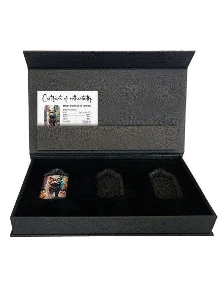 BRITISH SHORTHAIR IN LONDON Cats in the City Premium Cast Bar 100g Silver - Coins & More - Silver