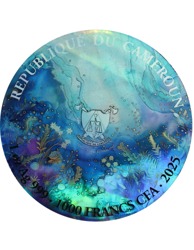 FAIRY IN FAIRYLAND 1 Oz Silbermünze 1000 Francs Kamerun 2025 - Coins & More - Kamerun