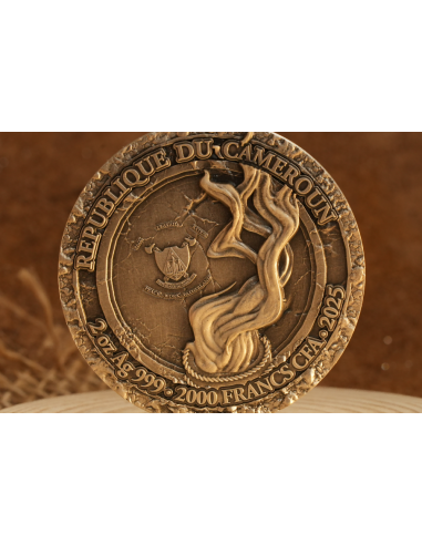 WITCH Magic Serie 2 Oz Moneta d'Argento 2000 Franchi Camerun 2025 - Coins & More - Camerun