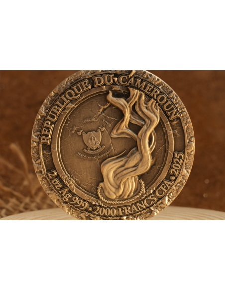 WITCH Magic Serie 2 Oz Moneta d'Argento 2000 Franchi Camerun 2025 - Coins & More - Camerun