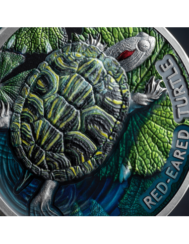 TORTUGA DE OREJAS ROJAS Moneda de Plata de 2 Oz 2$ Niue 2024 - Coins & More - Niue