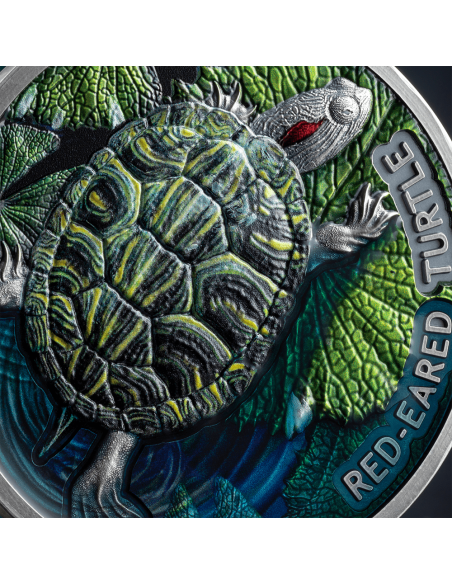 TORTUGA DE OREJAS ROJAS Moneda de Plata de 2 Oz 2$ Niue 2024 - Coins & More - Niue