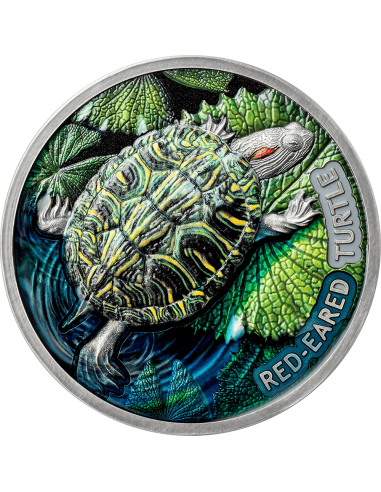 TORTUGA DE OREJAS ROJAS Moneda de Plata de 2 Oz 2$ Niue 2024 - Coins & More - Niue
