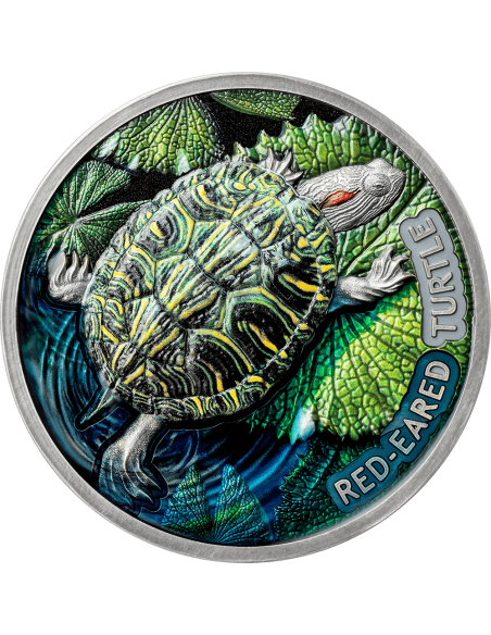 TORTUGA DE OREJAS ROJAS Moneda de Plata de 2 Oz 2$ Niue 2024 - Coins & More - Niue