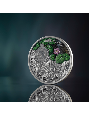 TORTUGA DE OREJAS ROJAS Moneda de Plata de 2 Oz 2$ Niue 2024 - Coins & More - Niue