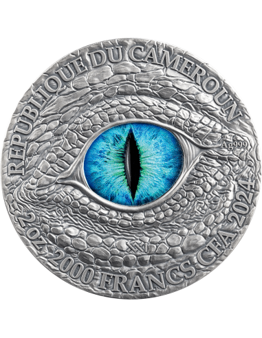 FROST DRAGON Dragonology 2 Oz Silver Coin 2000 Francos Camerún 2024 - Coins & More - Camerún