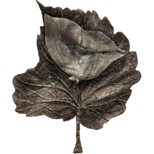 MISTICA FARFALLA FOGLIA Moneta d'argento da 2 Oz 2000 Franchi Camerun 2025 - Coins & More - Camerun 2