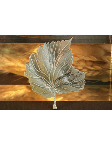 MISTICA FARFALLA FOGLIA Moneta d'argento da 2 Oz 2000 Franchi Camerun 2025 - Coins & More - Camerun