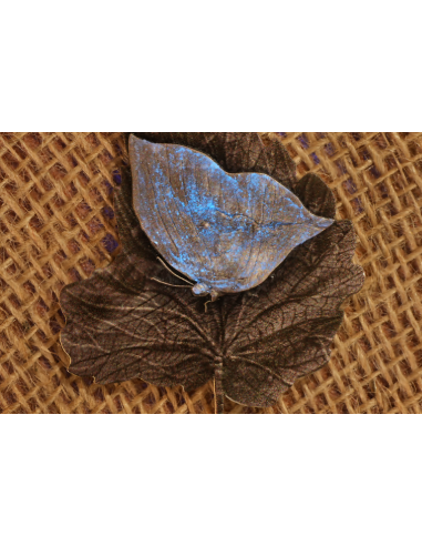 MYSTIC LEAFWING BUTTERFLY 2 Oz Silbermünze 2000 Francs Kamerun 2025 - Coins & More - Kamerun