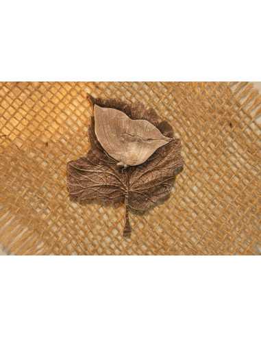 MYSTIC LEAFWING BUTTERFLY 2 Oz Silver Coin 2000 Francs Cameroon 2025 - Coins & More - Cameroon