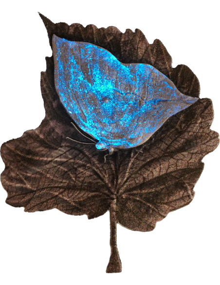 MYSTIC LEAFWING BUTTERFLY 2 Oz Silver Coin 2000 Francs Cameroon 2025 - Coins & More - Cameroon