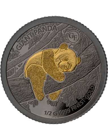 PANDA Golden Enigma 0,5g Gold & Schwarz Rhodium Münze 50 Tala Samoa 2024 - Coins & More - Samoa
