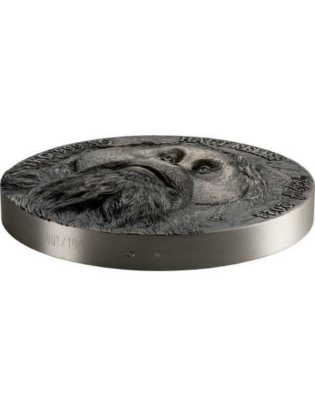 ORANGUTAN Big Five Asia 1Kg Kilo Silver Coin 10000 Francs Ivory Coast 2024 - Coins & More - Ivory Coast