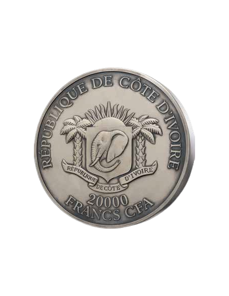 LEOPARD Big Five Africa 2Kg Kilo Silver Coin 20000 Francos Costa de Marfil 2023 - Coins & More - Costa de Marfil