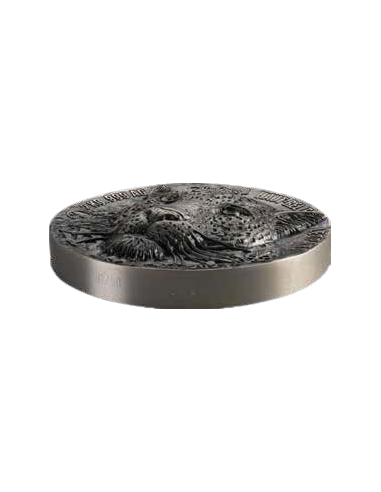 LEOPARD Big Five Africa 2Kg Kilo Silver Coin 20000 Francos Costa de Marfil 2023 - Coins & More - Costa de Marfil