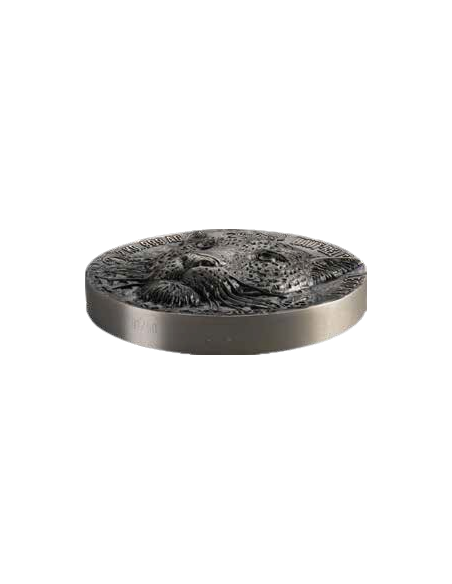 LEOPARD Big Five Africa 2Kg Kilo Silver Coin 20000 Francos Costa de Marfil 2023 - Coins & More - Costa de Marfil