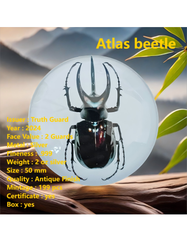 ATLAS BEETLE 2 Oz Silbermünze 2 Wächter Wahrheitswächter 2024 - Coins & More - Silber