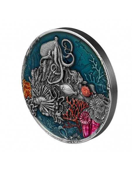 CORAL REEF 2 Oz Silver Coin 5$ Dollars Niue 2021 - Coins & More - Niue
