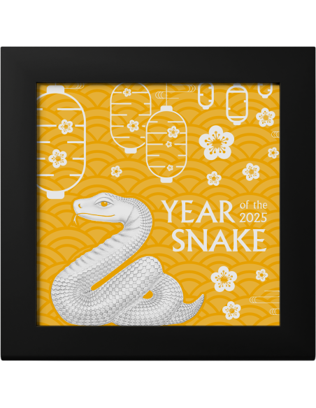 NIMBLE GILDED SNAKE Anno Lunare 1 Oz Moneta d'Argento 1000 Togrog Mongolia 2025 - Coins & More - Mongolia