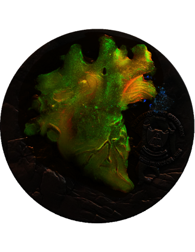 BREAK FREE 2 Oz Glow in Dark Moneda de Plata Antigua 2000 Francos Camerún 2025 - Coins & More - Camerún